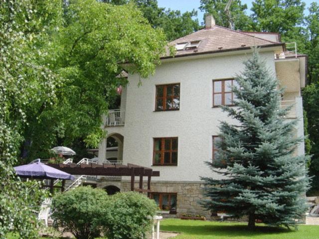 Hotel Villa Conti Pisek  Exterior photo
